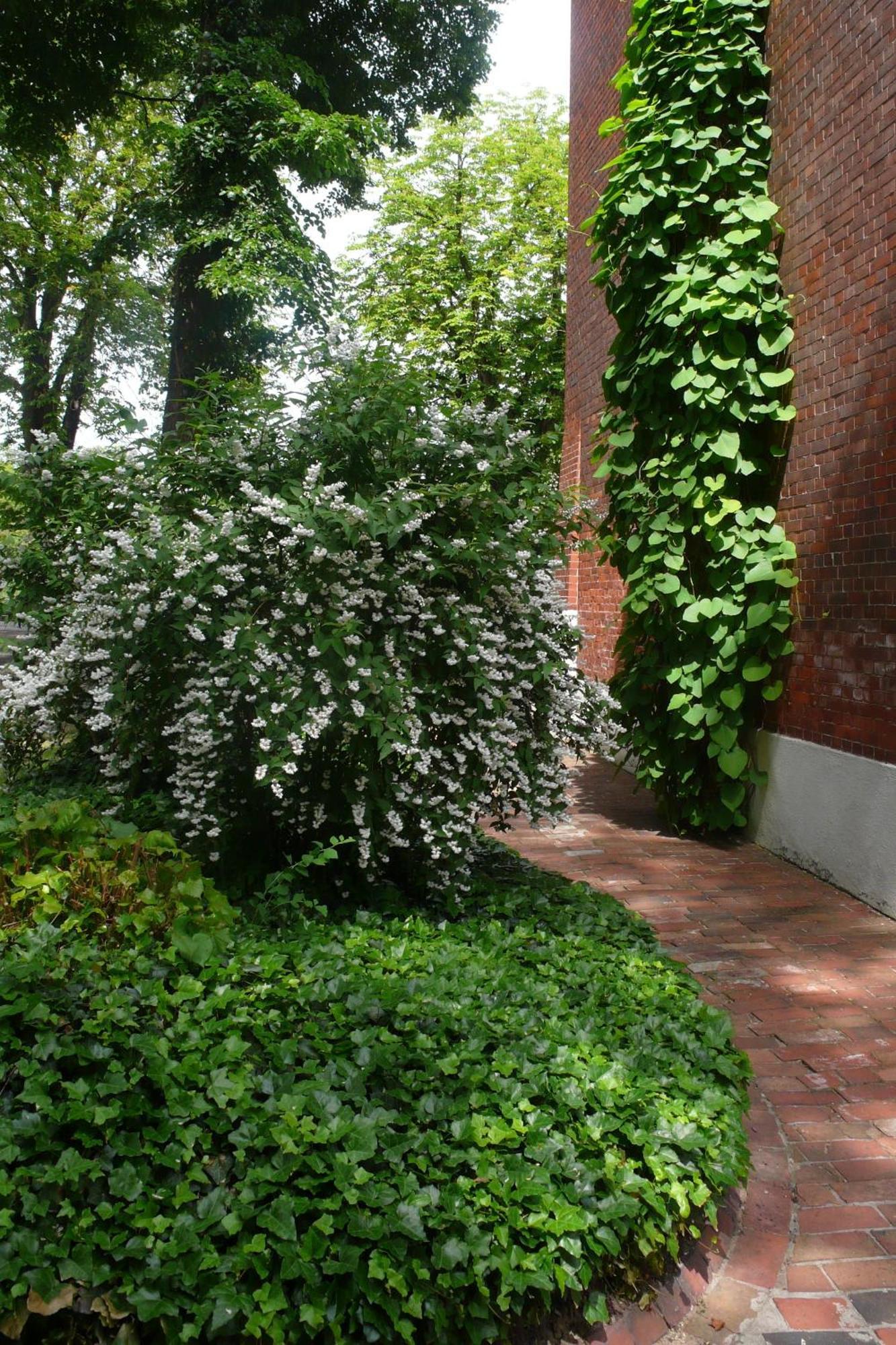 Pension Villa Fortuna Lübben Esterno foto